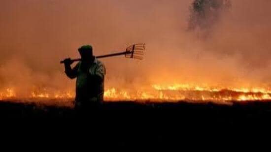 Haryana’s director (agriculture) Amit Khatri said that Haryana has distributed 13,200 crop-residue management machines against a target of 9,000. (HT Photo for representation)