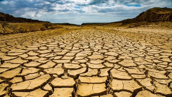 UNEP estimates that continued implementation of current policies could lead to global temperatures reaching 2.8°C above pre-industrial levels this century, with warming increasing thereafter. (Pexels/ Representational)