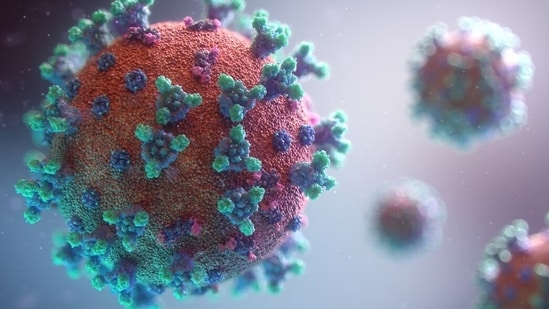 France has reported the first human detection of the Shamonda virus, which usually affects livestock. (Representational Image: Unsplash)