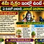 శమీ వృక్షం ఇంట్లో ఉంటే శుభమా? ఏ దిశలో నాటాలి, ఎలాంటి పరిహారాలు చేయాలి?