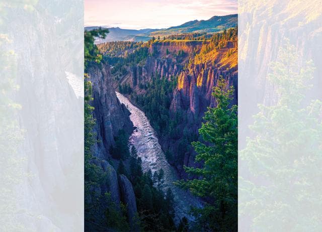 At Yellowstone, visitors can’t doomscroll. They must keep busy with hiking, biking and camping. (SHUTTERSTOCK) At Yellowstone, visitors can’t doomscroll. They must keep busy with hiking, biking and camping. (SHUTTERSTOCK)