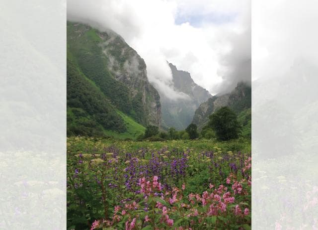 At the Valley of Flowers trail, Uttarakhand, the high mountain ranges block all connectivity. (SHUTTERSTOCK) At the Valley of Flowers trail, Uttarakhand, the high mountain ranges block all connectivity. (SHUTTERSTOCK)