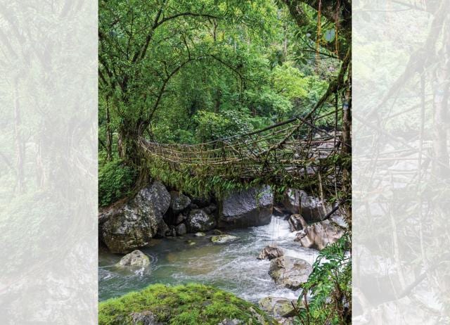 Enjoy the bridge made of live tree roots in Mawlynnong, Meghalaya, with no interruptions. (SHUTTERSTOCK) Enjoy the bridge made of live tree roots in Mawlynnong, Meghalaya, with no interruptions. (SHUTTERSTOCK)