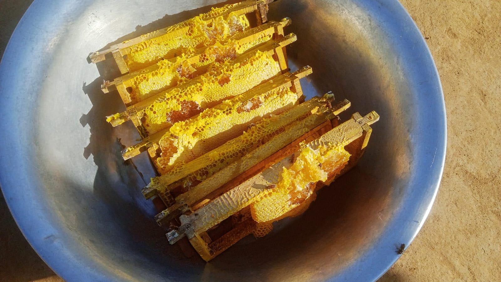 Orange Honey extracted from a Beehive Orange Honey extracted from a Beehive