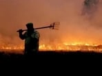 Haryana’s director (agriculture) Amit Khatri said that Haryana has distributed 13,200 crop-residue management machines against a target of 9,000. (HT Photo for representation)