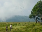 Pradip Kurbah’s award winning Ha Lyngkha Bneng (The Elysian Field) was created from a Hello Meghalaya grant. (Film still)