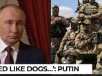 Putin’s charge against Zelensky: Ukrainians ‘dragged Like stray dogs’ into the war?