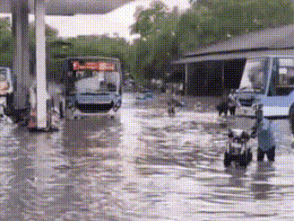 Tamil Nadu: Heavy rains flood Virudhunagar bus depot, disrupt services