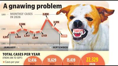 Mohali district recorded 12,436 cases between January and September 2023 and 15,629 during the same period in 2024, followed by 15,439 in 2025. The 2026 tally has surpassed the corresponding nine-month figures for all three preceding years. (HT File)