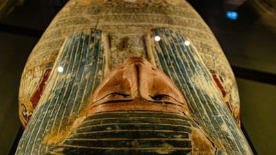 The museum displayed a note saying that the remains were removed as a “mark of respect”. (Representational image). (Unsplash) The museum displayed a note saying that the remains were removed as a “mark of respect”. (Representational image). (Unsplash)