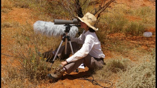 Elie in the field, studying zebra finch calls in Australia, in 2008. She has been studying the species since 2004. (Julie Elie / UC Berkeley)