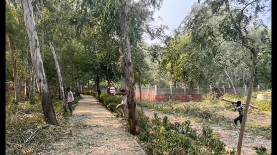 Forest officials said they have ordered a probe and action will follow if any violation is found (HT)