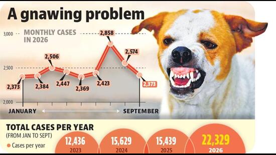 Mohali district recorded 12,436 cases between January and September 2023 and 15,629 during the same period in 2024, followed by 15,439 in 2025. The 2026 tally has surpassed the corresponding nine-month figures for all three preceding years. (HT File)