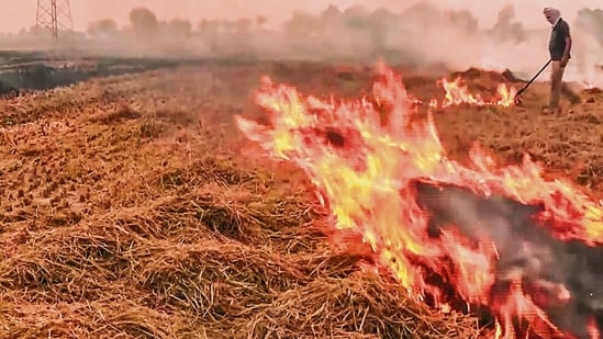 Tarn Taran has emerged as the worst-affected district, accounting for 218 of the 454 incidents, nearly half of the state’s total. (ANI)