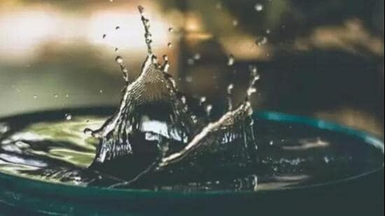 The rainwater harvesting project at Mango Garden, Sector 59, Phase 4, was listed among the development proposals to be discussed by the MC House. (Sourced image for representation)