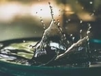 The rainwater harvesting project at Mango Garden, Sector 59, Phase 4, was listed among the development proposals to be discussed by the MC House. (Sourced image for representation)