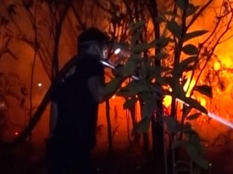 Indonesia Wildfires: Residents Battle Flames to Save Their Homes