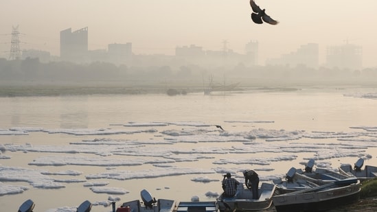 Gram it: A view of a thick layer of toxic foam covering the Yamuna river surface amid haze on Saturday. Delhi’s air quality improved slightly to the ‘moderate’ category, with the AQI hovering around 185.
