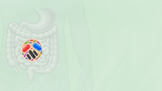 The cholesterol work is hardly the first sign that the answers to some diseases may lie in the gut. (HT PRINT)
