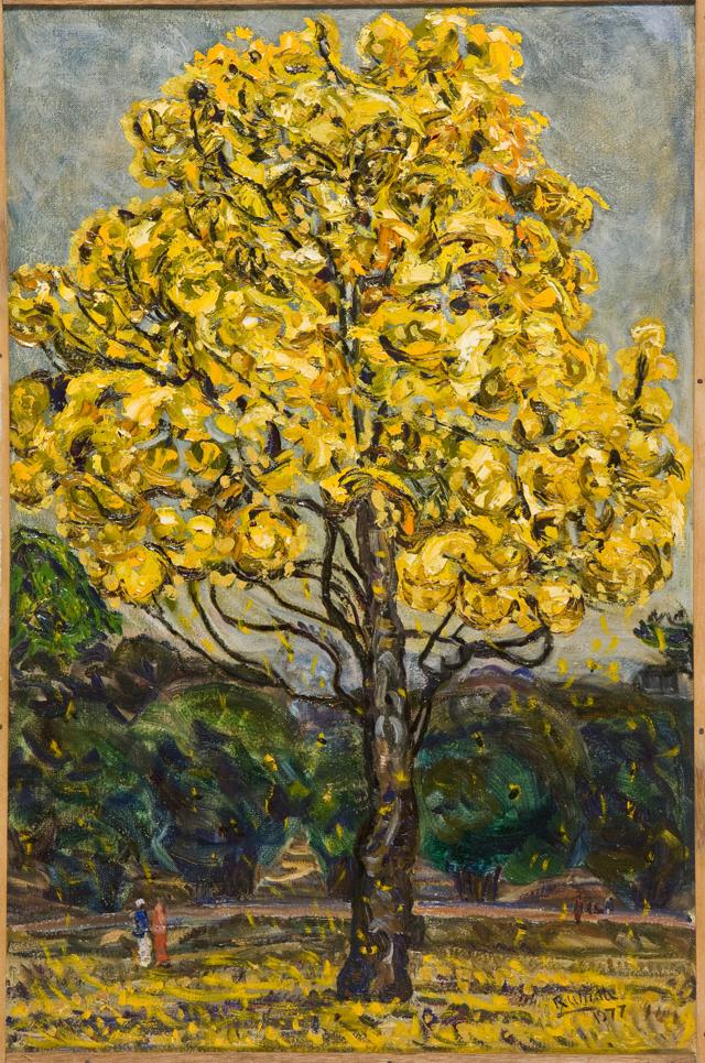 Yellow Bloom, Cubbon Park (1977). (Rumale Art House) Yellow Bloom, Cubbon Park (1977). (Rumale Art House)