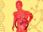 Early signs of fatty liver are usually mild, non-specific, and often missed. (Unsplash)