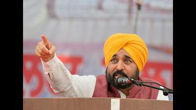 Punjab chief minister Bhagwant Mann (HT Photo) Punjab chief minister Bhagwant Mann (HT Photo)