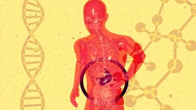 Early signs of fatty liver are usually mild, non-specific, and often missed. (Unsplash) Early signs of fatty liver are usually mild, non-specific, and often missed. (Unsplash)