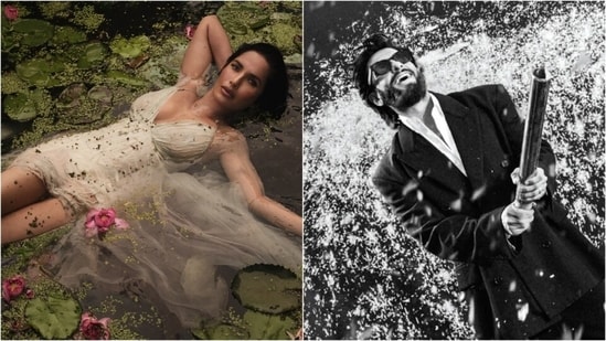 The 53rd Pirelli Calendar was unveiled in New Delhi after being photographed entirely in India for the first time. (Instagram/ Diet Sabya)