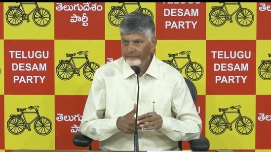 సీఎం చంద్రబాబు (ఫైల్ ఫొటో)