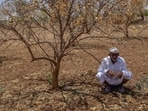 India endured its deadliest heatwave on record in 1998, coming right on the heels of the 20th century's most severe El Niño. (Ht Archive/ Representational)