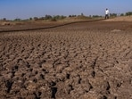 A farmer walks on a lake that has dried up due to drought outside Beed, India (AP Photo/Rafiq Maqbool)
