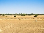 Jodhpur has the highest number of affected tehsils at 12, followed by Barmer and Jalore with 10 each. (Representative file photo)