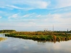 The one-hour cruise will operate between Sonia Vihar and Jagatpur, covering a 5-km stretch of the Yamuna. (File photo)