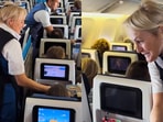 KLM CEO Marjan Rintel is seen serving passengers in a video shared by the airline. KLM CEO Marjan Rintel is seen serving passengers in a video shared by the airline.