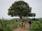 Cyclone Arnab LIVE: IMD said on Monday morning that the deep depression over Bay of Bengal has turned into 'Cyclone Arnab'