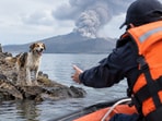 Representative image of a stranded dog awaiting rescue near a volcanic island after a major eruption, with rescuers approaching by boat.