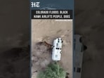 Black Hawk Helicopter Rescues People, Dogs From Colorado Floodwaters | Hindustan Times