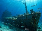 Where an old cargo ship now serves as a home for sea life in the Gulf.(AI-generated/ChatGPT)