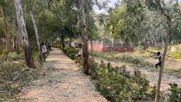 Noida: Notice issued over illegal felling of 4 trees in Biodiversity Park Noida: Notice issued over illegal felling of 4 trees in Biodiversity Park