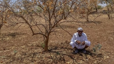 India endured its deadliest heatwave on record in 1998, coming right on the heels of the 20th century's most severe El Niño. (Ht Archive/ Representational)