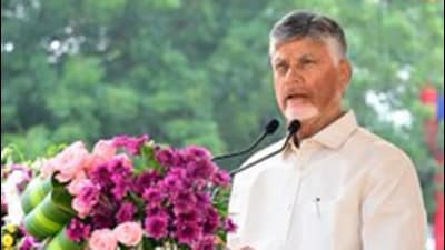 Of the 17 urban local bodies where chairpersons were elected unopposed, 15 went to the TDP. Of the 17 urban local bodies where chairpersons were elected unopposed, 15 went to the TDP.