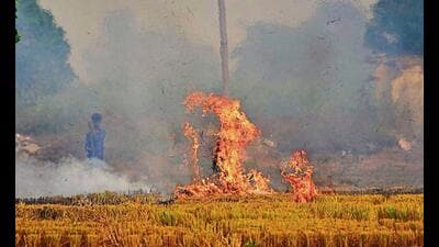 The annual monitoring period for stubble burning begins on September 15, ahead of the paddy procurement season that starts on October 1. (HT FILE)