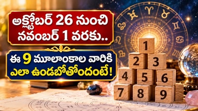 అక్టోబర్ 26 నుంచి నవంబర్ 1 వరకు.. ఈ 9 మూలాంకాల వారికి ఎలా ఉండబోతోందంటే! అక్టోబర్ 26 నుంచి నవంబర్ 1 వరకు.. ఈ 9 మూలాంకాల వారికి ఎలా ఉండబోతోందంటే!