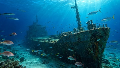 Where an old cargo ship now serves as a home for sea life in the Gulf. (AI-generated/ChatGPT) Where an old cargo ship now serves as a home for sea life in the Gulf. (AI-generated/ChatGPT)