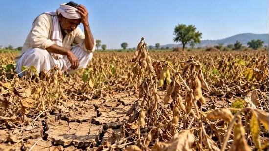 Eight farmers died by suicide a day from Jan 2022 to June 2026 in Maharashtra: RTI