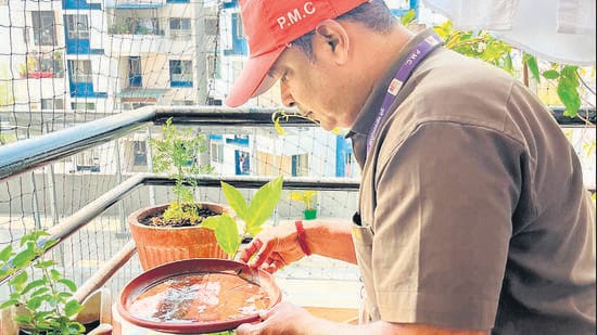 Pune records 8 suspected dengue deaths this year; PMC to send cases for state review