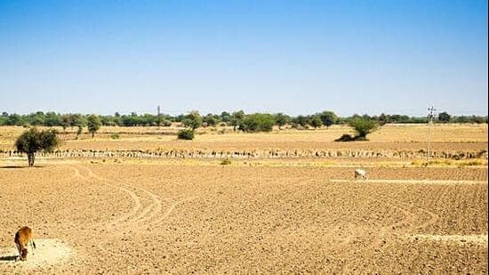 Jodhpur has the highest number of affected tehsils at 12, followed by Barmer and Jalore with 10 each. (Representative file photo)