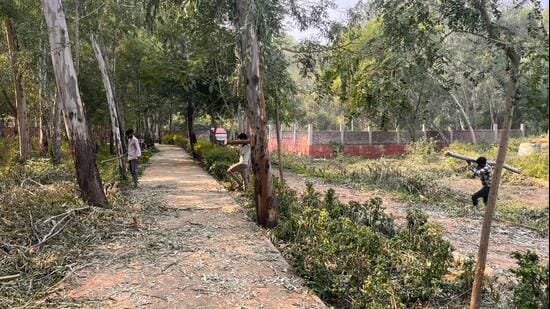 The action follows a complaint filed by an environmental activist alleging that the trees were cut during construction work at the park and without permission. (HT Photo)