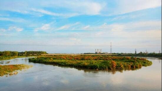 The one-hour cruise will operate between Sonia Vihar and Jagatpur, covering a 5-km stretch of the Yamuna. (File photo)