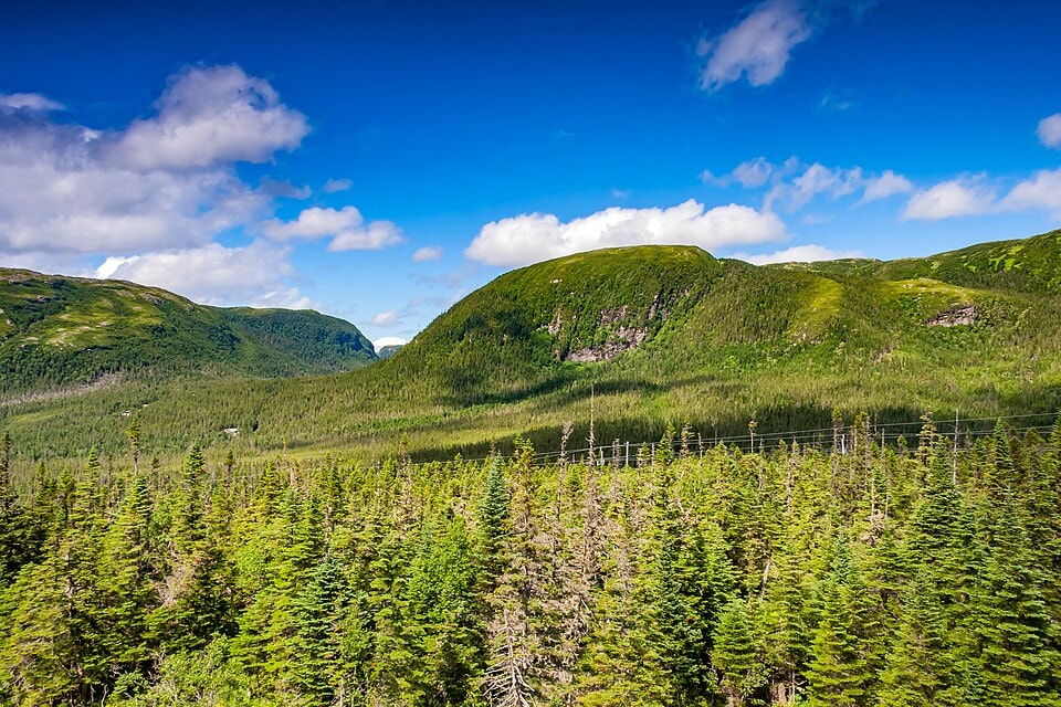Gros Morne National Park is a world heritage site located on the west coast of Newfoundland. (Wikimedia Commons) Gros Morne National Park is a world heritage site located on the west coast of Newfoundland. (Wikimedia Commons)